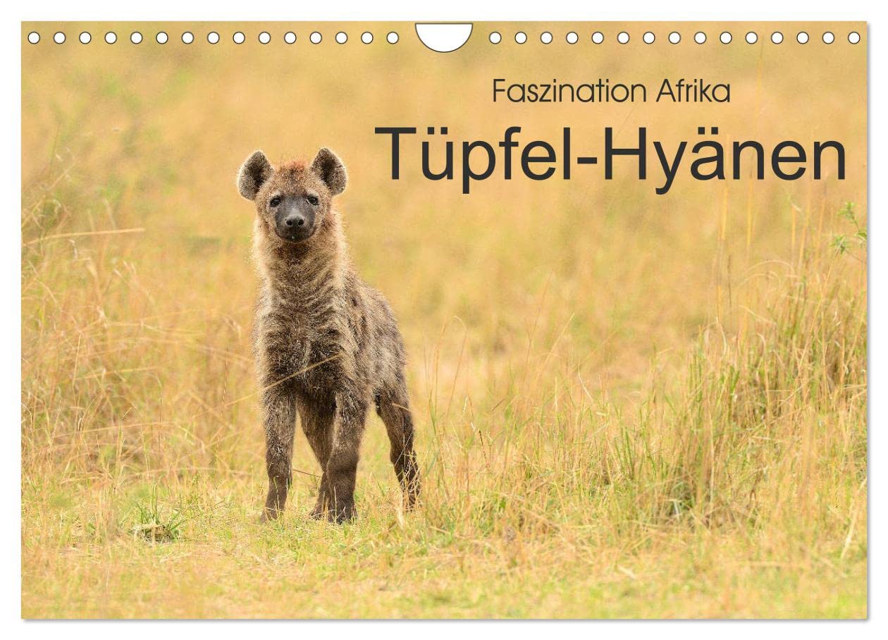 Faszination Afrika: Tüpfel-Hyänen (Wandkalender 2025 DIN A4 quer), CALVENDO Monatskalender: Die Raubtiere mit dem schlechten Ruf - zu unrecht! (CALVENDO Tiere) Business & Technology