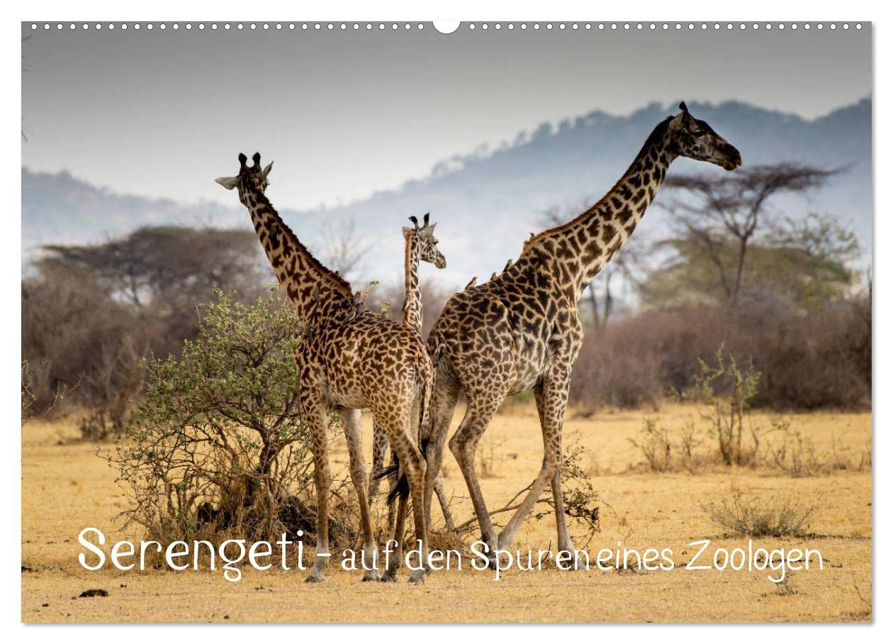 Serengeti - auf den Spuren eines Zoologen (Wandkalender 2025 DIN A2 quer), CALVENDO Monatskalender: Eine einzigartige Safari durch Tansania (CALVENDO Tiere) Leisure, Home & Garden