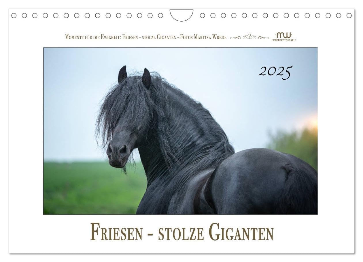 Friesen - stolze Giganten (Wandkalender 2025 DIN A4 quer), CALVENDO Monatskalender: Friesen - schwarze Pferdeschönheiten (CALVENDO Tiere) Natural Sciences