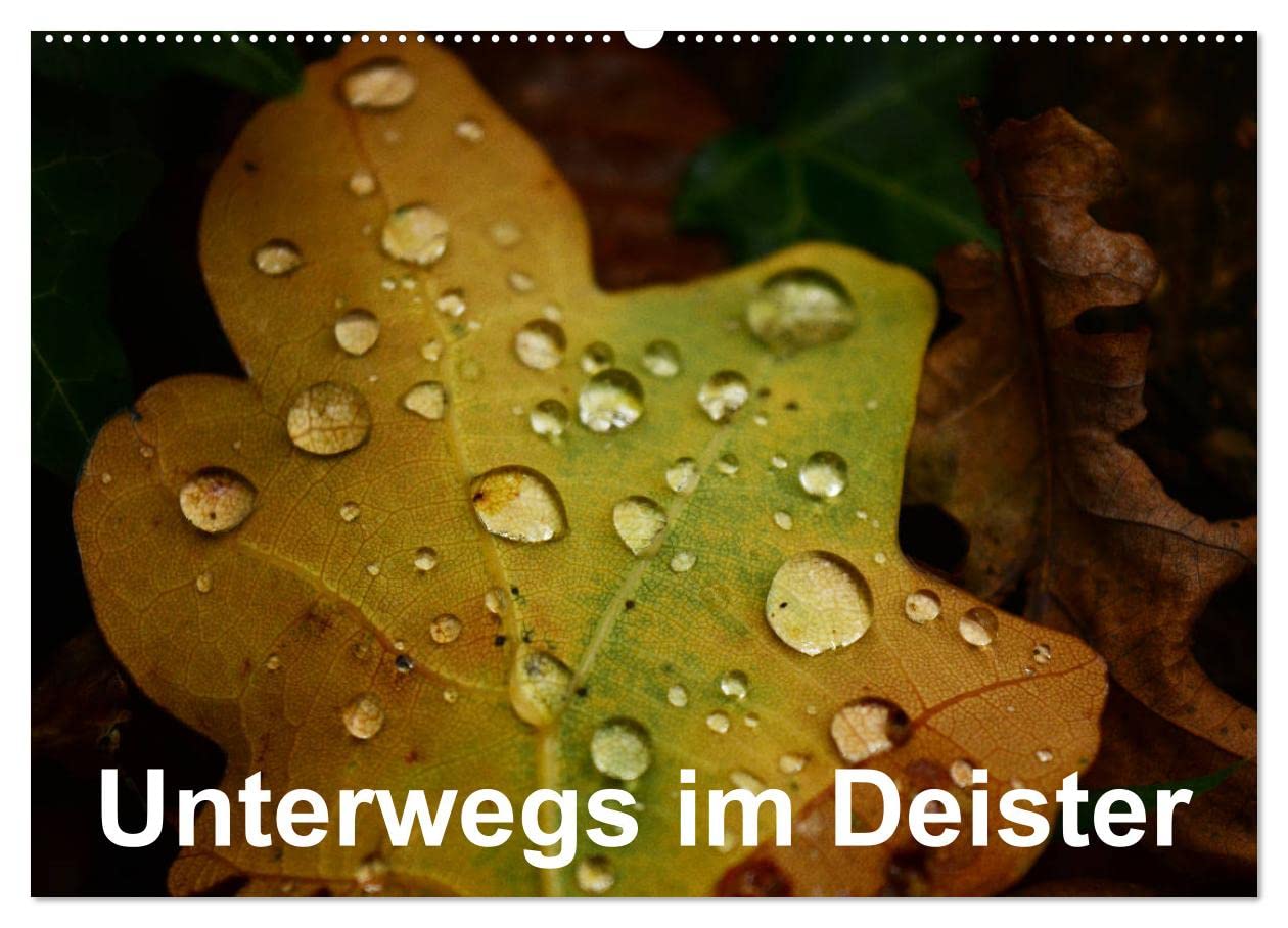 Unterwegs im Deister (Wandkalender 2025 DIN A2 quer), CALVENDO Monatskalender: Ein kleiner Streifzug durch die Natur. (CALVENDO Natur) Leisure, Home & Garden