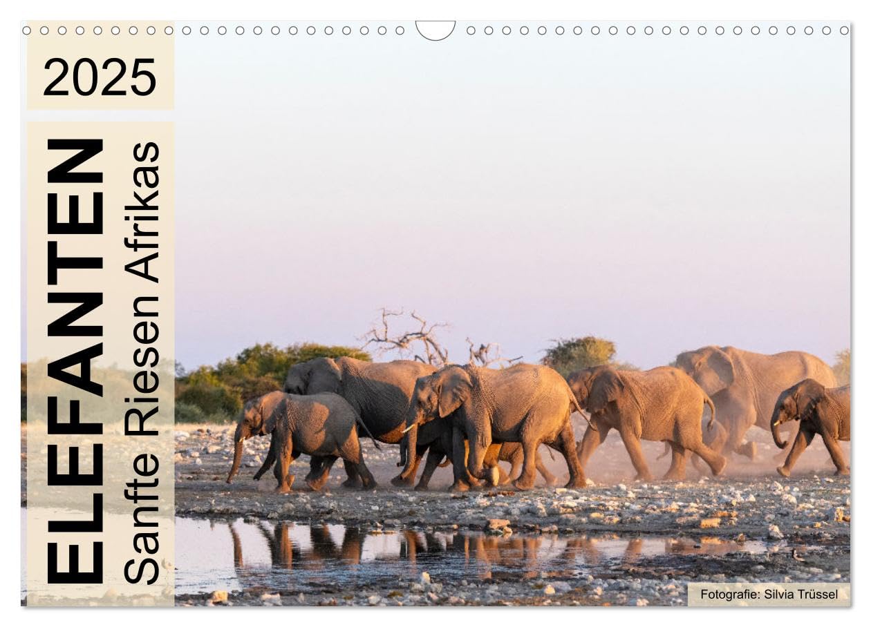 Elefanten - Sanfte Riesen Afrikas (Wandkalender 2025 DIN A3 quer), CALVENDO Monatskalender: Begegnungen im südlichen und östlichen Afrika. (CALVENDO Tiere) Natural Sciences