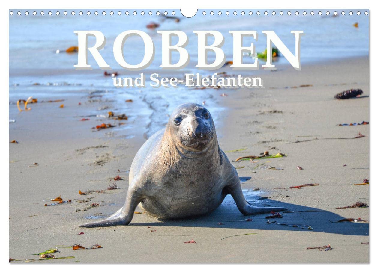 Robben und See-Elefanten (Wandkalender 2025 DIN A3 quer), CALVENDO Monatskalender: Faszinierende Aufnahmen wild lebender Robben und See-Elefanten (CALVENDO Tiere) Social Sciences