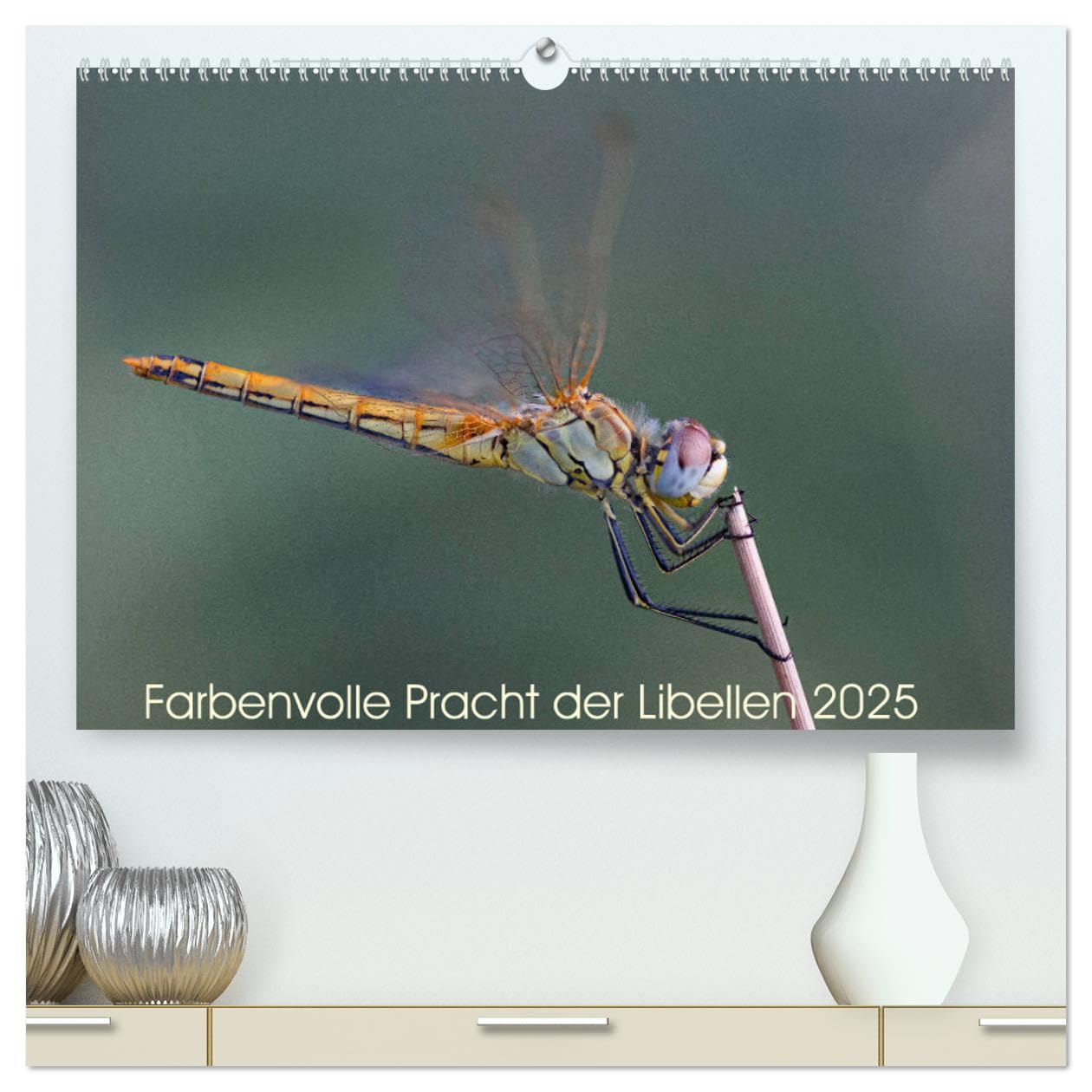 Farbenvolle Pracht der Libellen (hochwertiger Premium Wandkalender 2025 DIN A2 quer), Kunstdruck in Hochglanz: Die wunderschöne Welt der Libellen. (CALVENDO Tiere) Natural Sciences