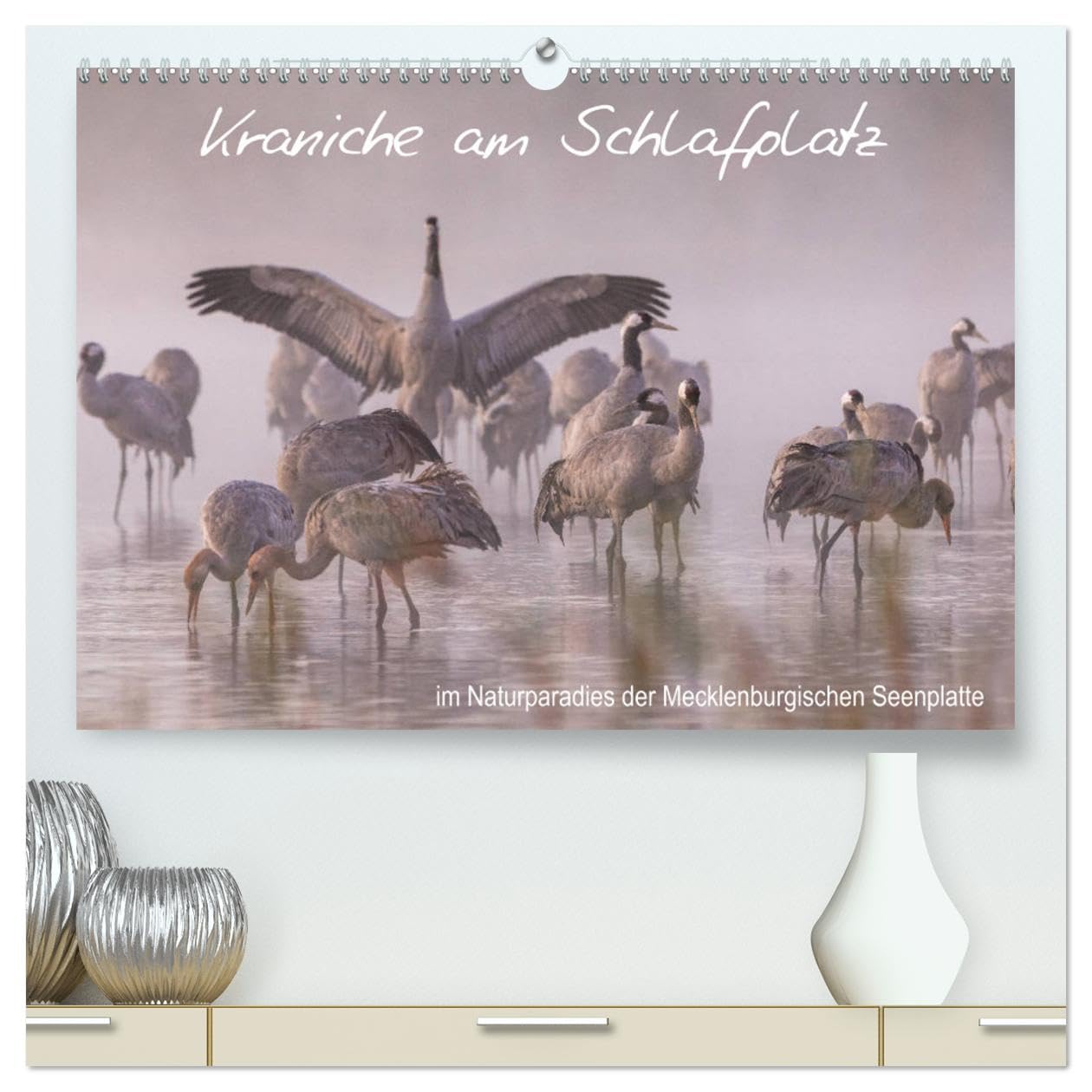 Kraniche am Schlafplatz - im Naturparadies der Mecklenburgischen Seenplatte (hochwertiger Premium Wandkalender 2025 DIN A2 quer), Kunstdruck in ... Mecklenburgischen Seenplatte (CALVENDO Tiere) Film, Art & Culture