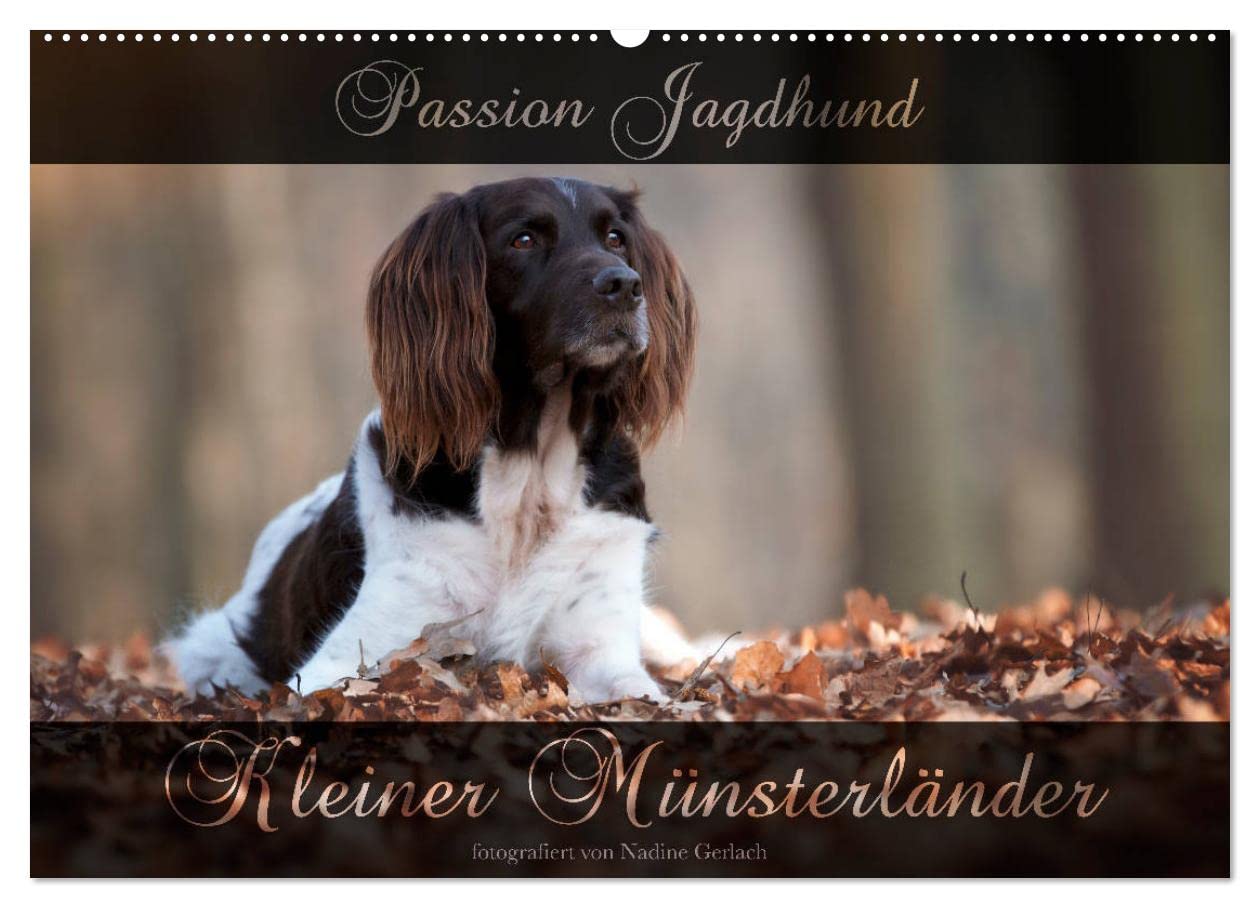 Passion Jagdhund - Kleiner Münsterländer (Wandkalender 2025 DIN A2 quer), CALVENDO Monatskalender: Kleiner Münsterländer Vorstehhund - Ein Leben neben der Jagd (CALVENDO Tiere) Natural Sciences