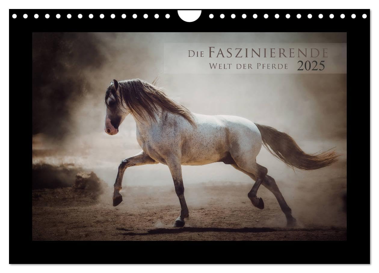 Die Faszinierende Welt der Pferde (Wandkalender 2025 DIN A4 quer), CALVENDO Monatskalender: Lassen Sie sich entführen in die Faszinierende Welt der Pferde (CALVENDO Tiere) Social Sciences