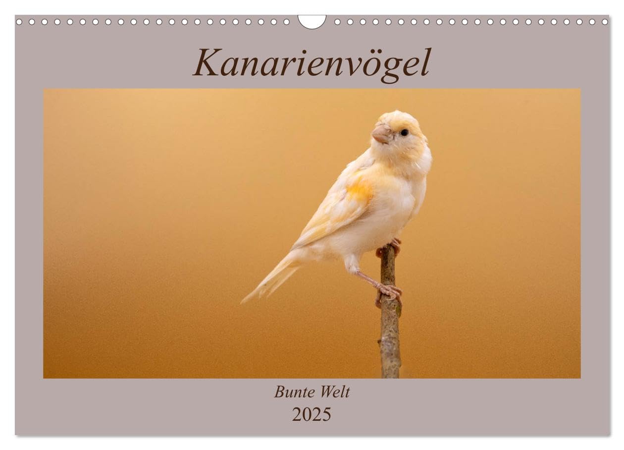 Kanarienvögel - Bunte Welt (Wandkalender 2025 DIN A3 quer), CALVENDO Monatskalender: Wunderschöne Bilder, welche die ganze bunte Vielfalt der Kanarienvögel zeigen (CALVENDO Tiere) Natural Sciences
