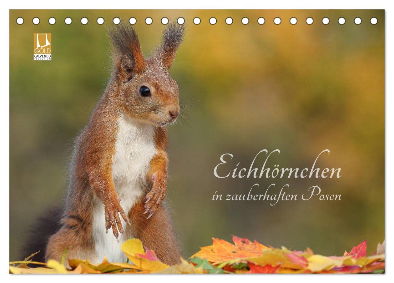 Eichhörnchen in zauberhaften Posen (Tischkalender 2025 DIN A5 quer), CALVENDO Monatskalender: Liebenswerte und witzige Großaufnahmen von den kleinen Freunden (CALVENDO Tiere) Natural Sciences