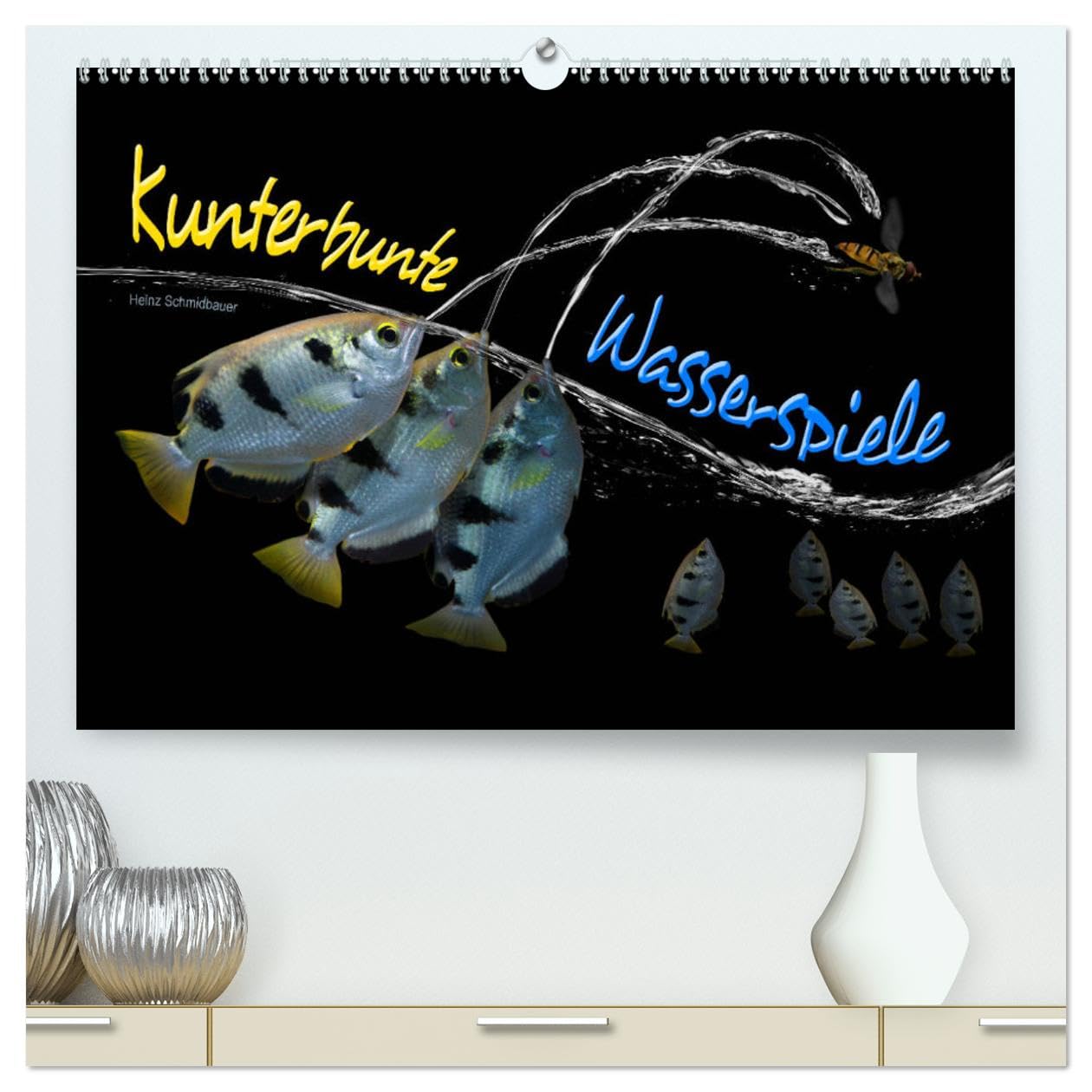 Kunterbunte Wasserspiele (hochwertiger Premium Wandkalender 2025 DIN A2 quer), Kunstdruck in Hochglanz: Extrem bunte Fische, bekannt auch als ... an der Wasseroberfläche (CALVENDO Tiere) Photography