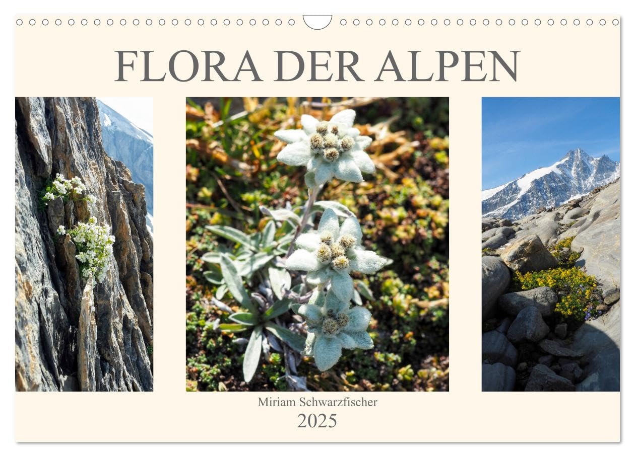 Flora der Alpen (Wandkalender 2025 DIN A3 quer), CALVENDO Monatskalender: Blumenwelt der Alpen (CALVENDO Natur) Business & Technology
