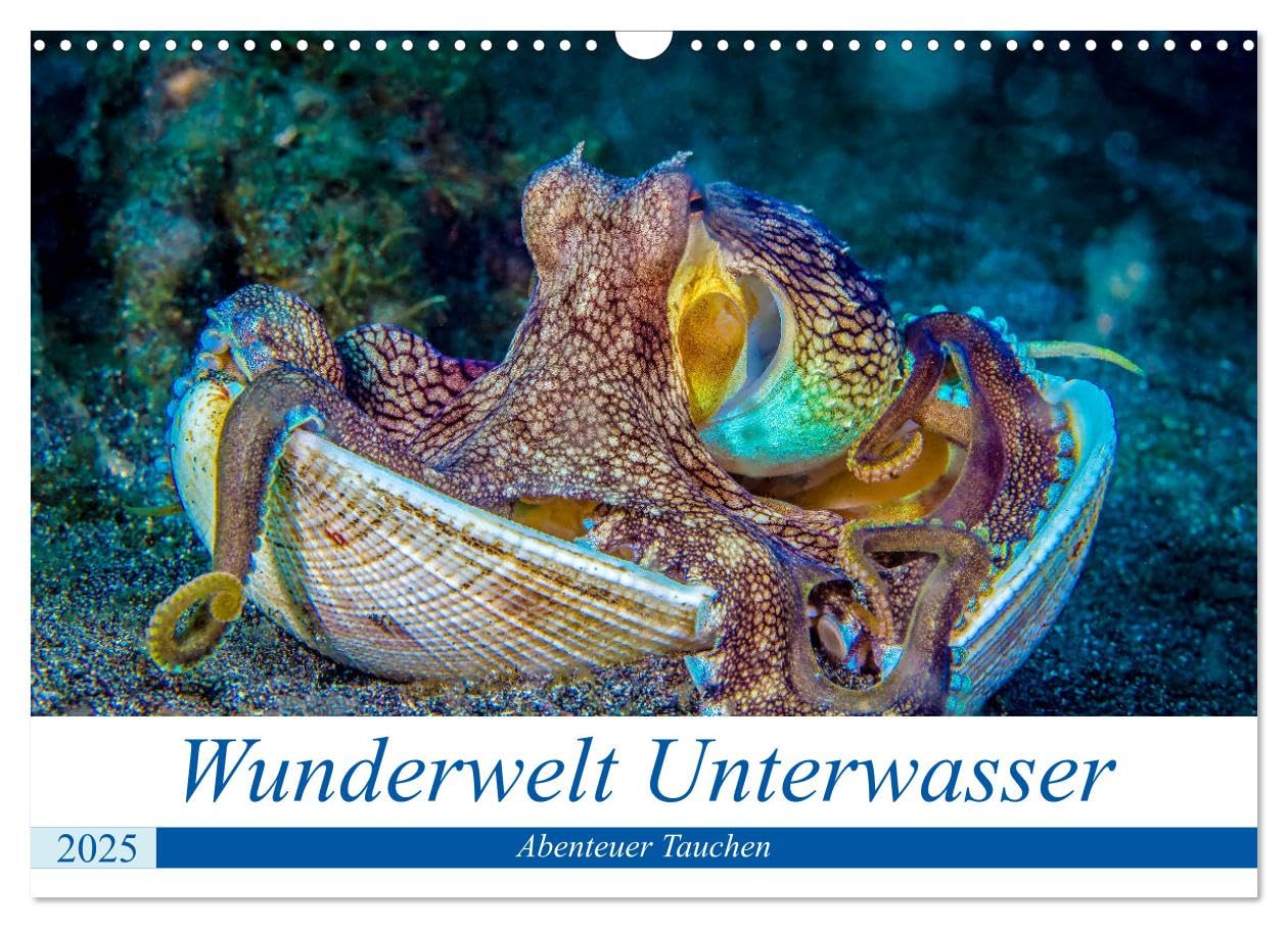 Wunderwelt Unterwasser (Wandkalender 2025 DIN A3 quer), CALVENDO Monatskalender: Tauchen in Moaboal/Philippinen (CALVENDO Tiere) Leisure, Home & Garden