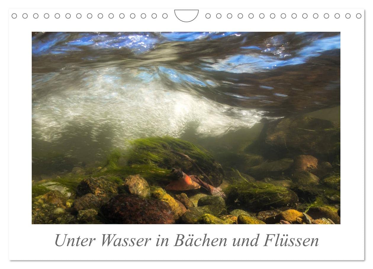 Unter Wasser in Bächen und Flüssen (Wandkalender 2025 DIN A4 quer), CALVENDO Monatskalender: Erleben Sie in 13 außergewöhnlichen Perspektiven die ... heimischer Bäche und Flüsse. (CALVENDO Natur) Photography