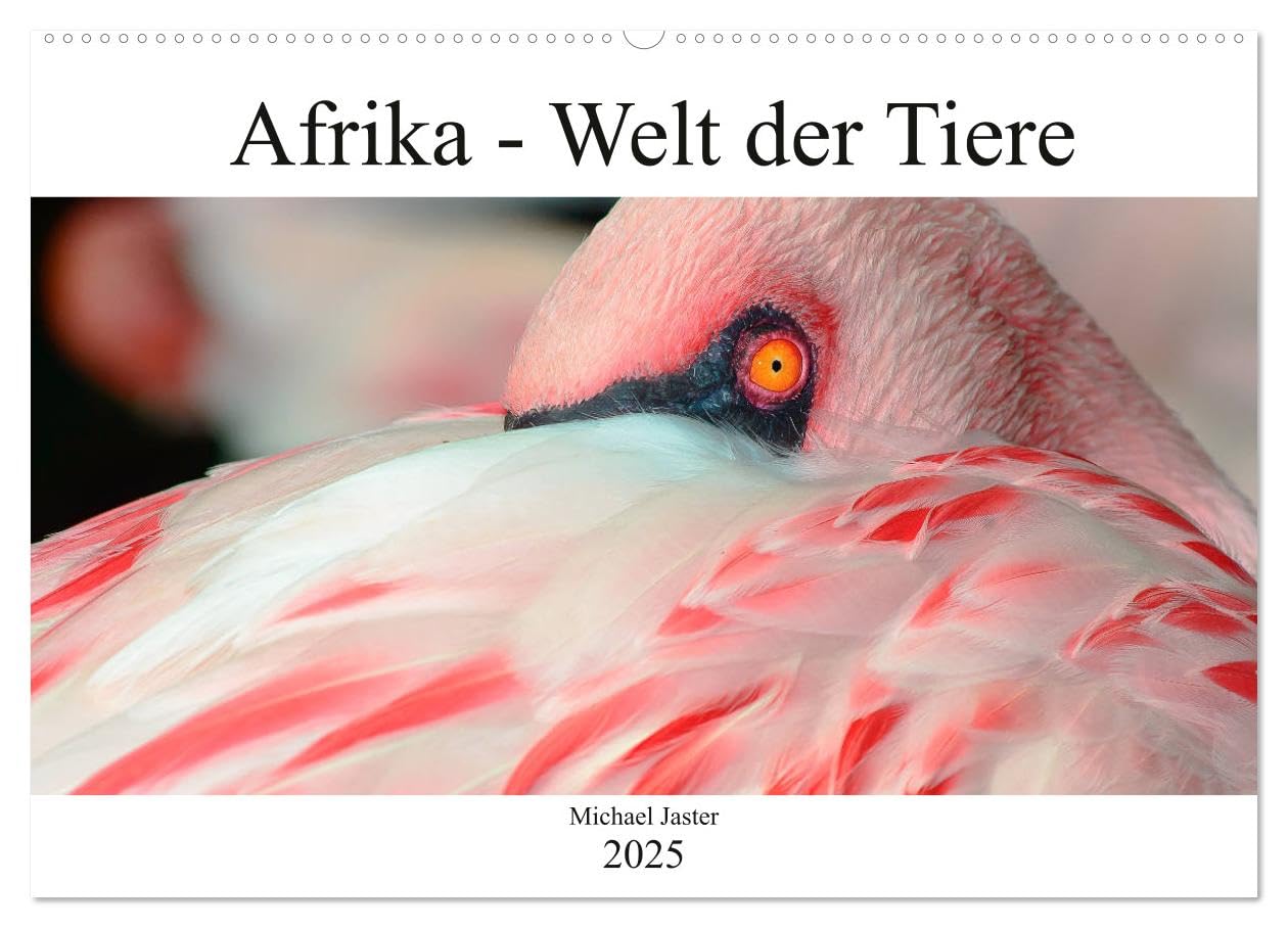 Afrika - Welt der Tiere (Wandkalender 2025 DIN A2 quer), CALVENDO Monatskalender Film, Art & Culture
