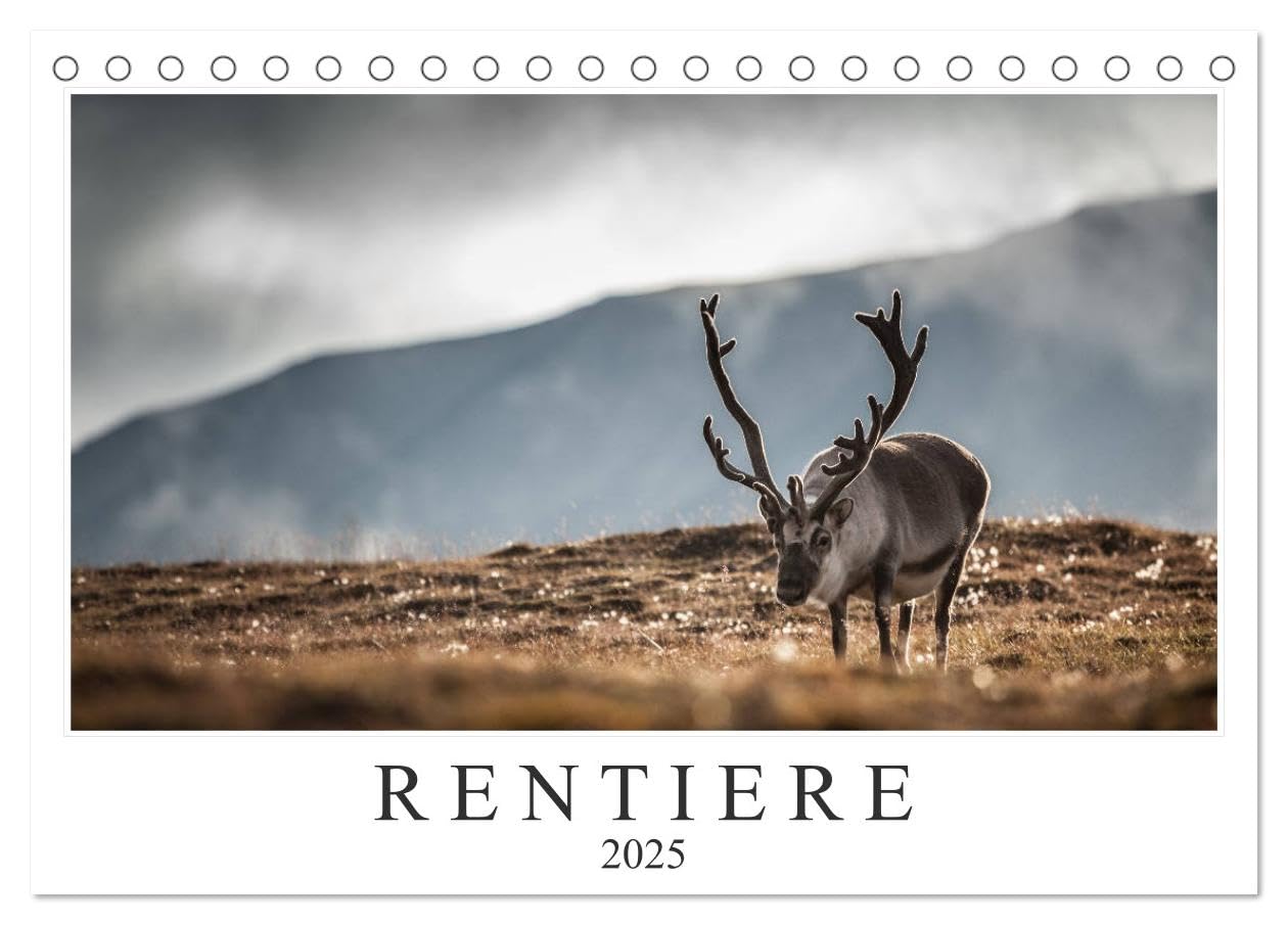 Rentiere (Tischkalender 2025 DIN A5 quer), CALVENDO Monatskalender: Rentiere aus Nordnorwegen & Spitzbergen (CALVENDO Tiere) Natural Sciences