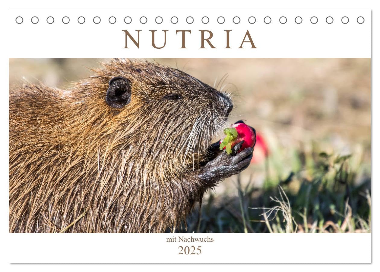 NUTRIA mit Nachwuchs (Tischkalender 2025 DIN A5 quer), CALVENDO Monatskalender: Nutria hautnah (CALVENDO Tiere) Living & Furnishing