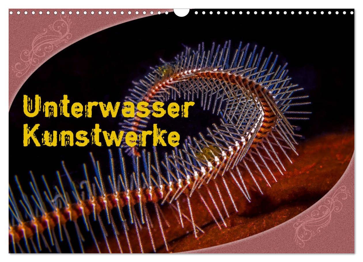Unterwasser Kunstwerke (Wandkalender 2025 DIN A3 quer), CALVENDO Monatskalender: Ein Ausschnitt aus der Unterwasserwelt, wo man das Gefühl hat, es wären lauter kleine Kunstwerke. (CALVENDO Tiere) Leisure, Home & Garden