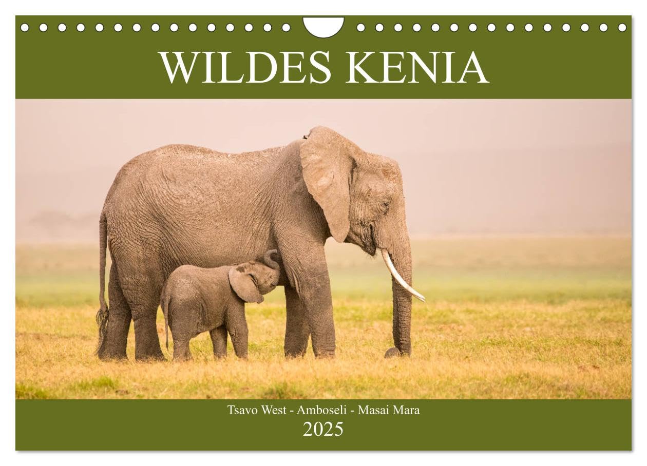 Wildes Kenia (Wandkalender 2025 DIN A4 quer), CALVENDO Monatskalender: Aus dem Leben der Tiere in der afrikanischen Wildnis (CALVENDO Tiere) Natural Sciences