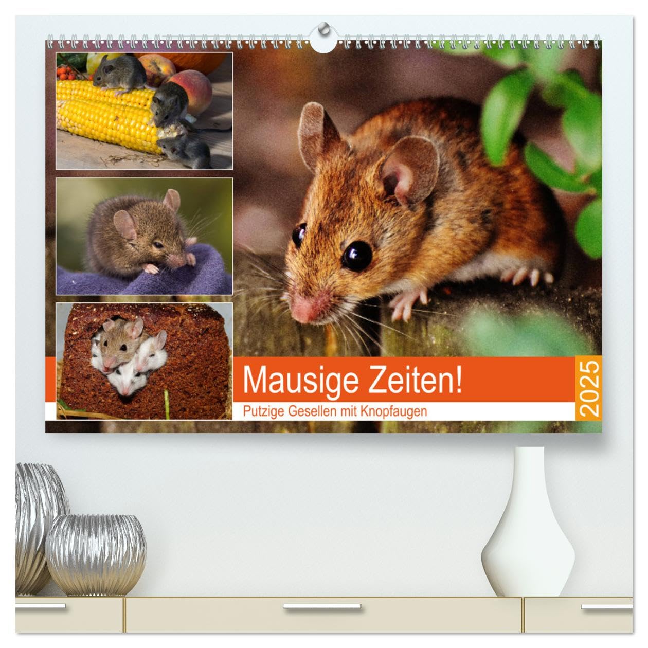 Mausige Zeiten! Putzige Gesellen mit Knopfaugen (hochwertiger Premium Wandkalender 2025 DIN A2 quer), Kunstdruck in Hochglanz: Niedliche Farbmäuse und wilde Artgenossen (CALVENDO Tiere) Film, Art & Culture