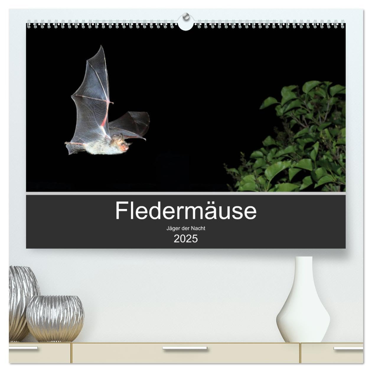 Fledermäuse - Jäger der Nacht (hochwertiger Premium Wandkalender 2025 DIN A2 quer), Kunstdruck in Hochglanz: Fotos unserer europäische Fledermäusen aus allen Jahreszeiten. (CALVENDO Tiere) Natural Sciences