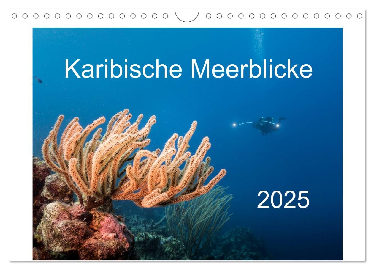 Karibische Meerblicke (Wandkalender 2025 DIN A4 quer), CALVENDO Monatskalender: Faszination karibische Unterwasserwelt - türkises Wasser und eine ... erwarten Sie! (CALVENDO Natur) Leisure, Home & Garden
