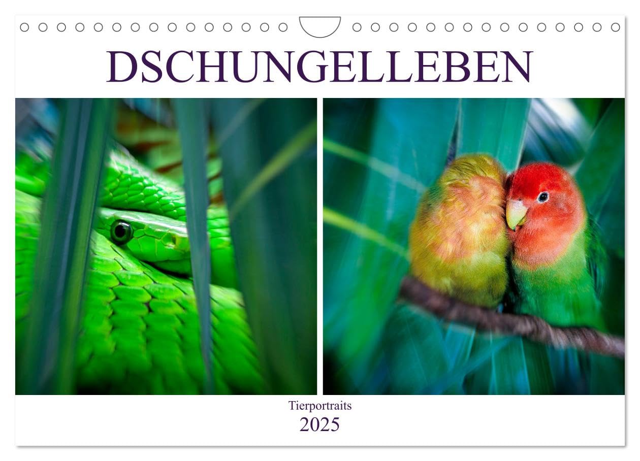 Dschungelleben - Tierportraits (Wandkalender 2025 DIN A4 quer), CALVENDO Monatskalender: Unterschiedliche Tiere, die im Dschungel leben (CALVENDO Tiere) Natural Sciences