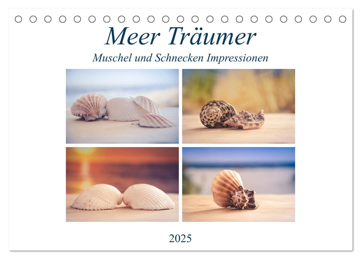 Meer Träumer - Muscheln und Schnecken Impressionen (Tischkalender 2025 DIN A5 quer), CALVENDO Monatskalender: Muscheln und Meeresschnecken gehören zu ... auf oder am Meeresboden. (CALVENDO Natur) Leisure, Home & Garden