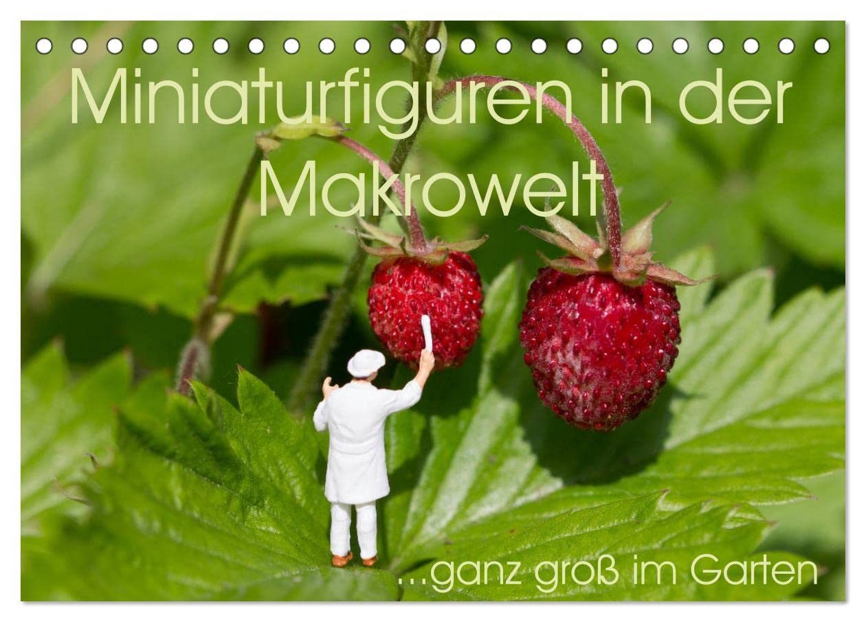 Miniaturfiguren in der Makrowelt ...ganz groß im Garten (Tischkalender 2025 DIN A5 quer), CALVENDO Monatskalender: CityZwerge kommen ganz groß raus... im Garten! (CALVENDO Kunst) Photography