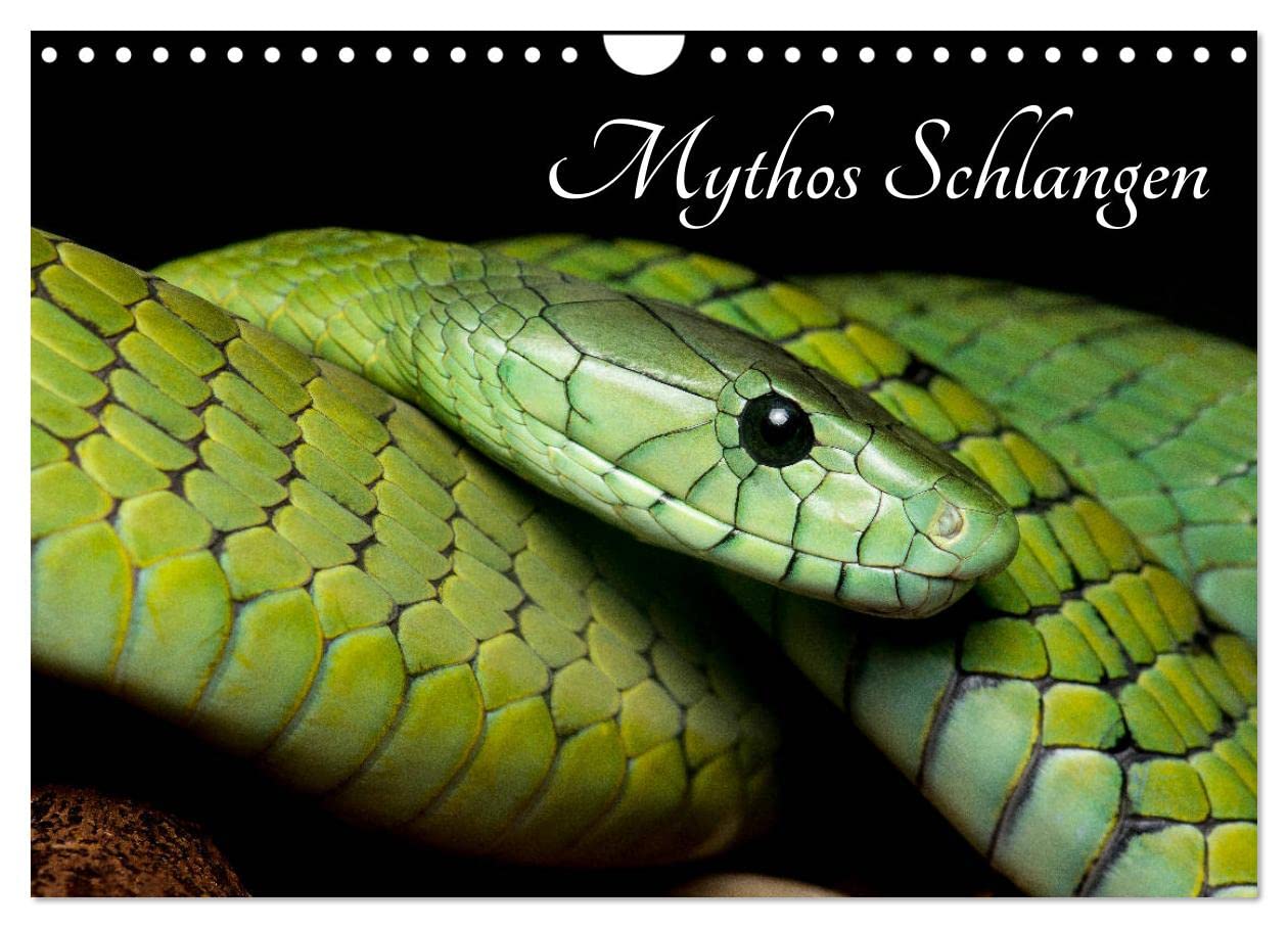 Mythos Schlangen (Wandkalender 2025 DIN A4 quer), CALVENDO Monatskalender: Die Schönheit der Schlangen. Festgehalten in eindrucksvollen Fotos. (CALVENDO Tiere) Natural Sciences