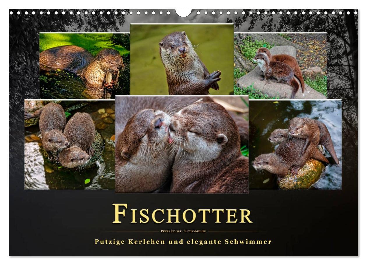 Fischotter - putzige Kerlchen und elegante Schwimmer (Wandkalender 2025 DIN A3 quer), CALVENDO Monatskalender: Der Fischotter ist zwar ein ... Tier einfach nur knuddeln. (CALVENDO Tiere) Living & Furnishing