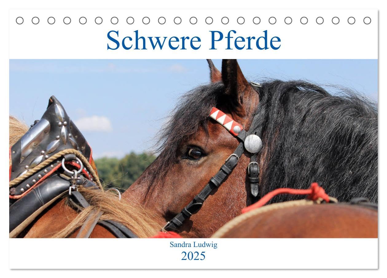 Schwere Pferde 2025 (Tischkalender 2025 DIN A5 quer), CALVENDO Monatskalender: Schwere Pferde, mächtige, faszinierende Rösser, porträtiert in zwölf meisterhaften Fotos. (CALVENDO Tiere) Natural Sciences