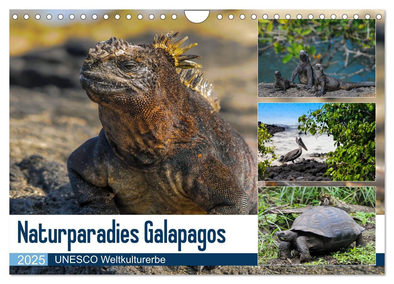 Naturparadies Galapagos - UNESCO Weltkulturerbe (Wandkalender 2025 DIN A4 quer), CALVENDO Monatskalender: Die Galapagos Inseln - ein letztes ... heute UNESCO Weltkulturerbe. (CALVENDO Natur) Leisure, Home & Garden