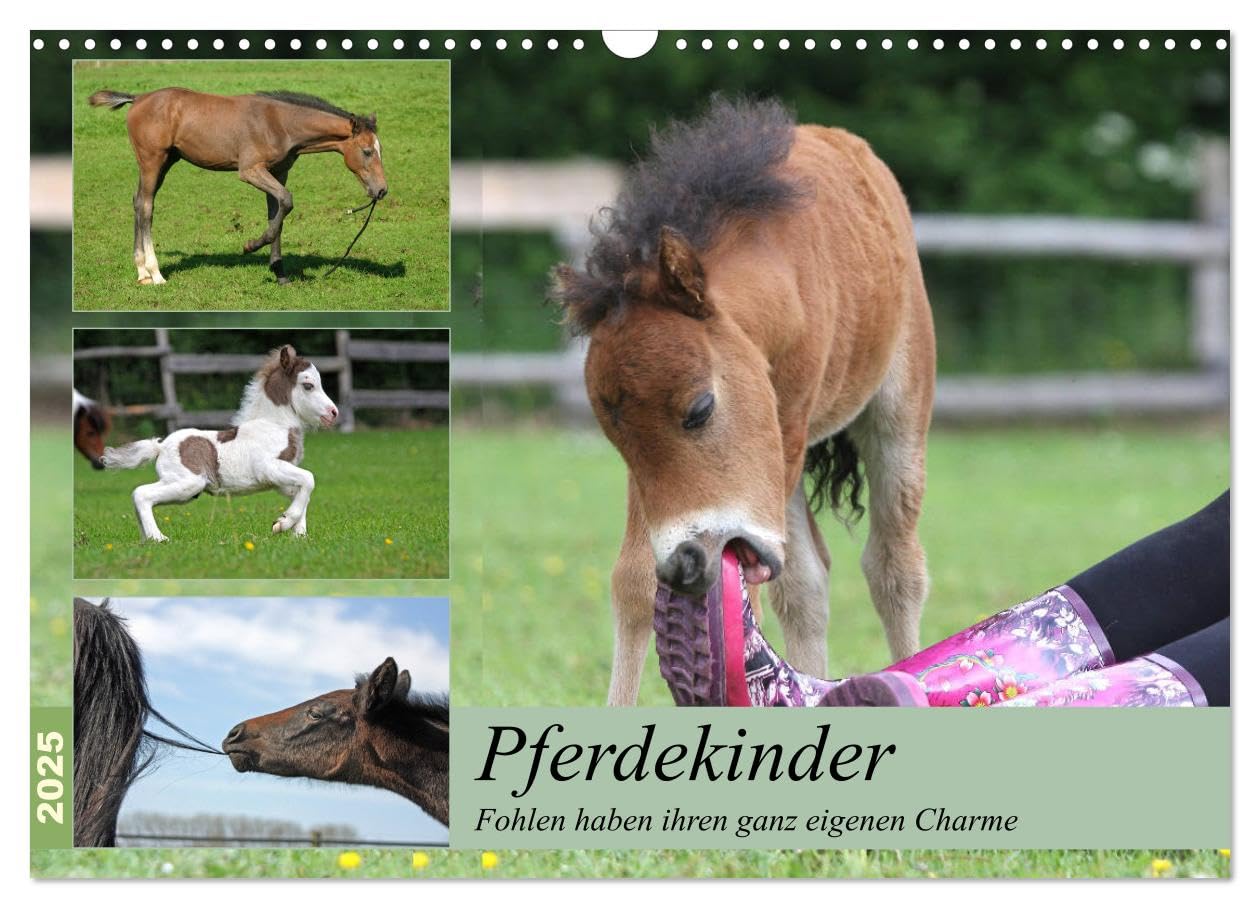 Pferdekinder - Fohlen haben ihren ganz eigenen Charme (Wandkalender 2025 DIN A3 quer), CALVENDO Monatskalender: Fohlen verzaubern jeden der sie sieht ... seinen besonderen Charme. (CALVENDO Tiere) Living & Furnishing