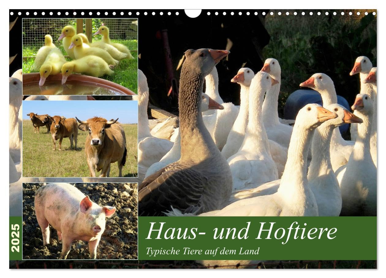 Haus- und Hoftiere (Wandkalender 2025 DIN A3 quer), CALVENDO Monatskalender: Typische Tiere auf dem Land (CALVENDO Tiere) Living & Furnishing