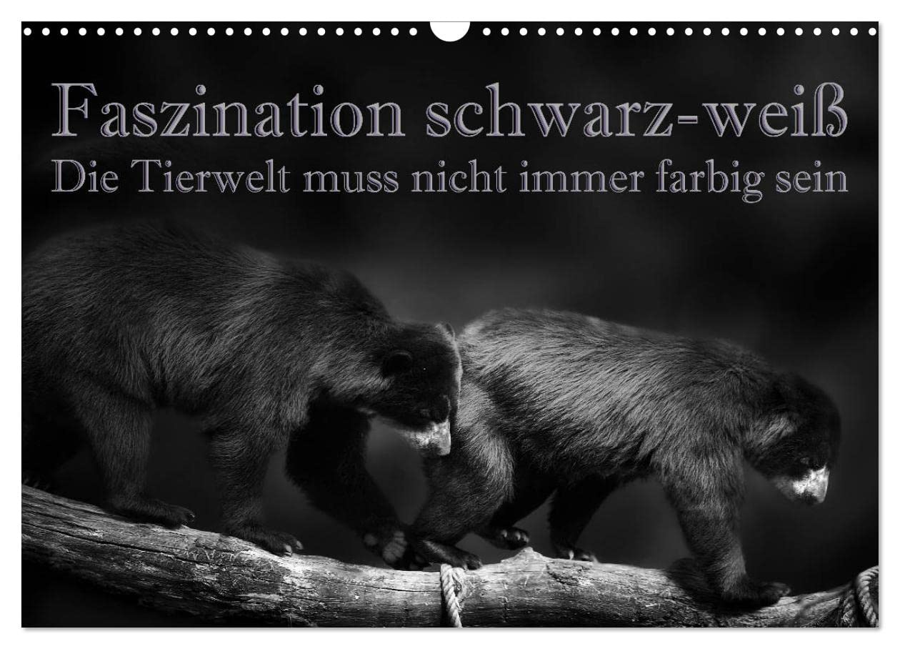Faszination schwarz-weiß - Die Tierwelt muss nicht immer farbig sein (Wandkalender 2025 DIN A3 quer), CALVENDO Monatskalender: Die Welt der Tiere in schwarz-weiß (CALVENDO Tiere) Natural Sciences