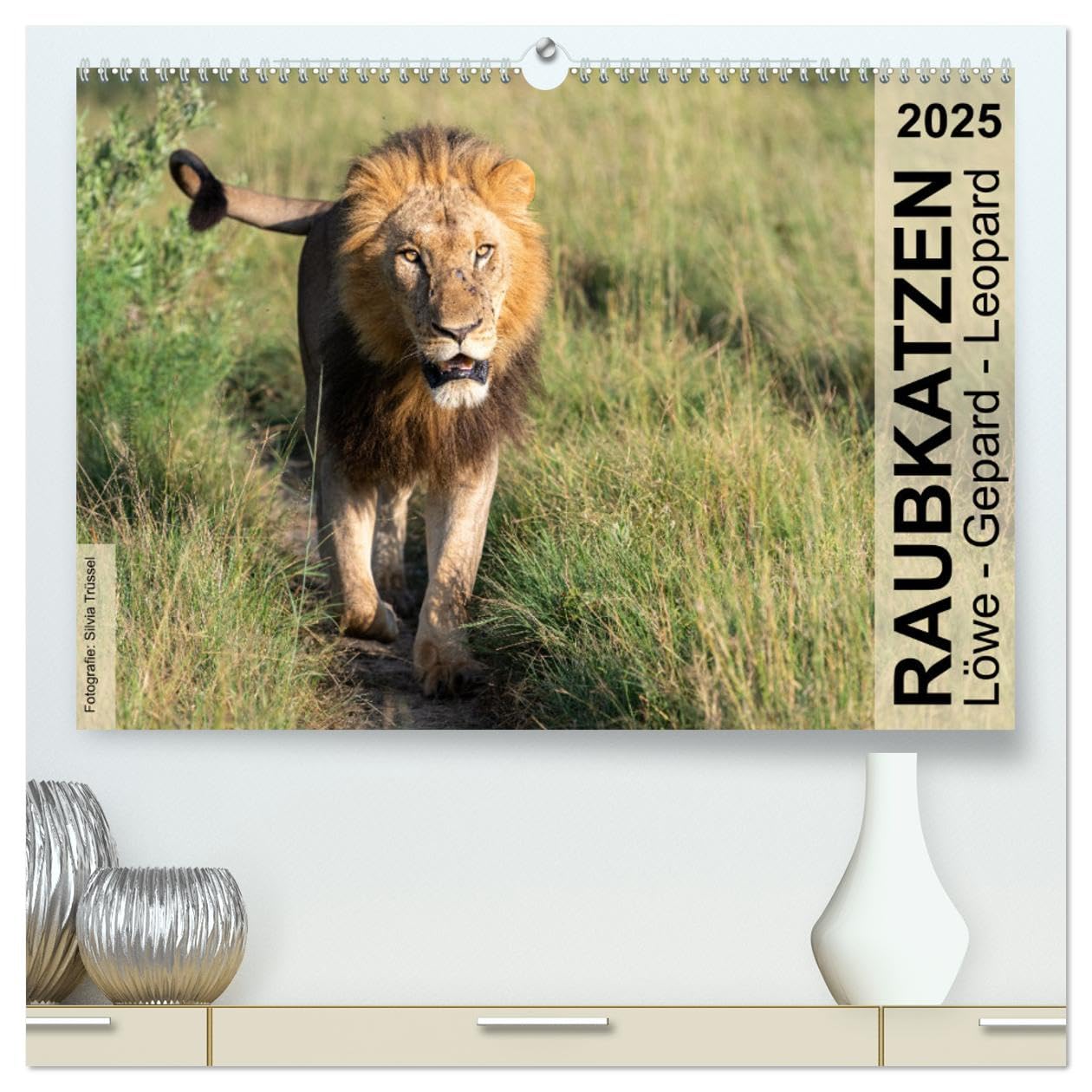 Raubkatzen - Löwe, Gepard, Leopard (hochwertiger Premium Wandkalender 2025 DIN A2 quer), Kunstdruck in Hochglanz: Wild und frei im südlichen und östlichen Afrika. (CALVENDO Tiere) Leisure, Home & Garden