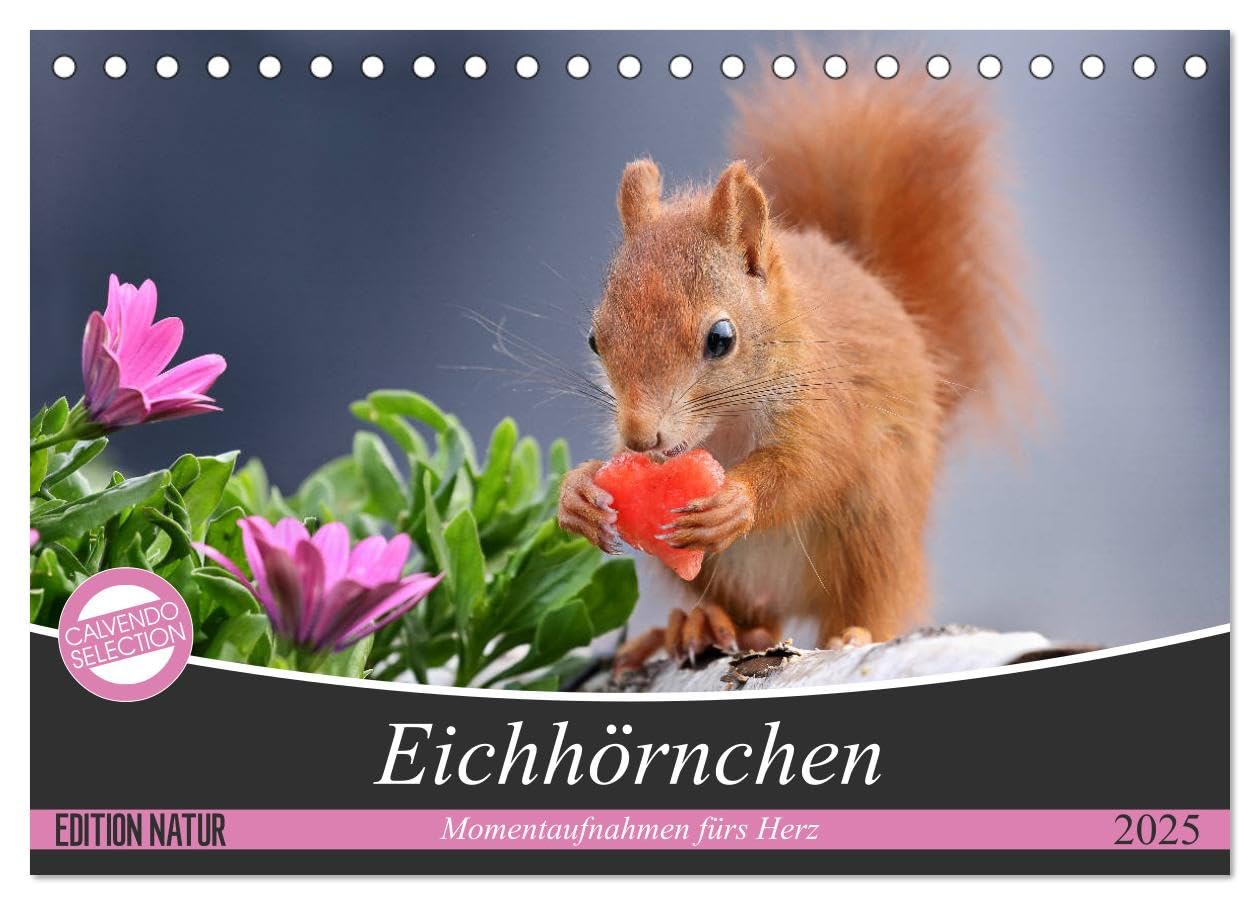 Eichhörnchen Momentaufnahmen fürs Herz (Tischkalender 2025 DIN A5 quer), CALVENDO Monatskalender: Wunderschöne Großaufnahmen entsprechend der jeweiligen Jahreszeit (CALVENDO Tiere) Natural Sciences