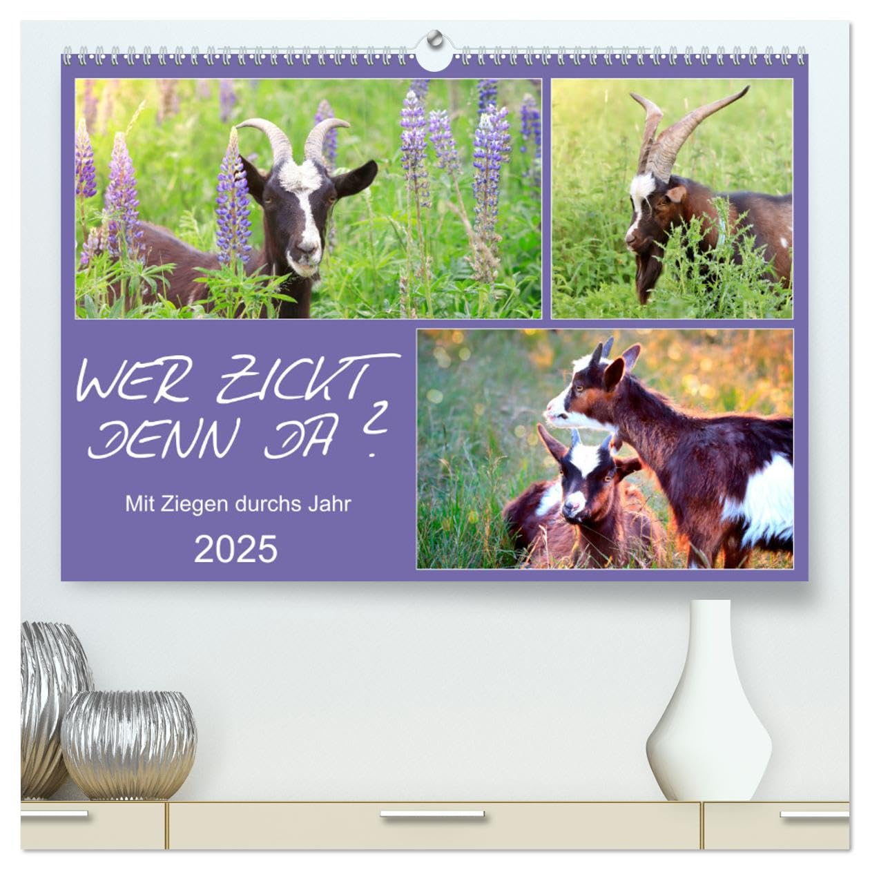 Wer zickt denn da? Mit Ziegen durchs Jahr (hochwertiger Premium Wandkalender 2025 DIN A2 quer), Kunstdruck in Hochglanz: Freche Ziegen auf Wiesen und Weiden (CALVENDO Tiere) Social Sciences