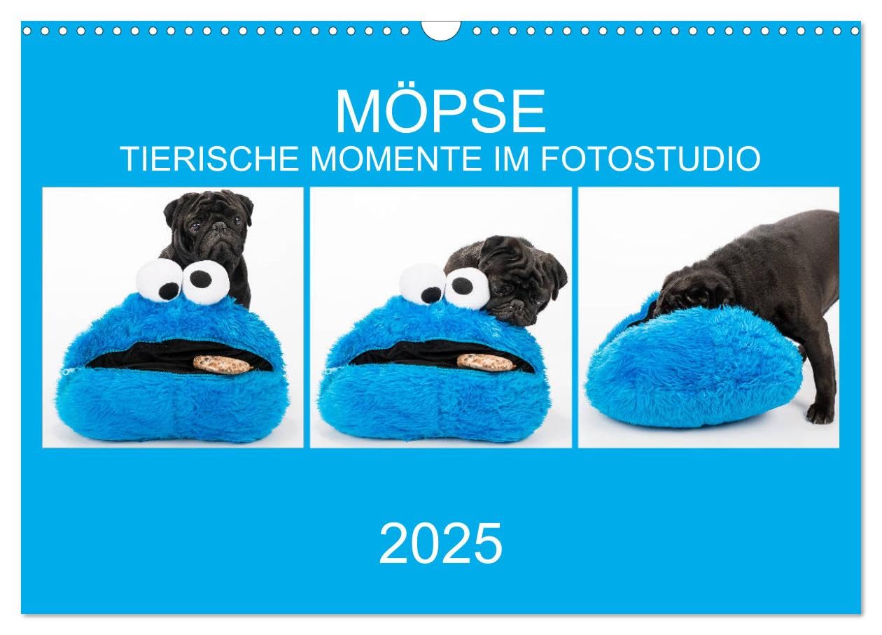 MÖPSE - tierische Momente im Fotostudio (Wandkalender 2025 DIN A3 quer), CALVENDO Monatskalender: Möpse im Fotostudio fotografiert (CALVENDO Tiere) Natural Sciences