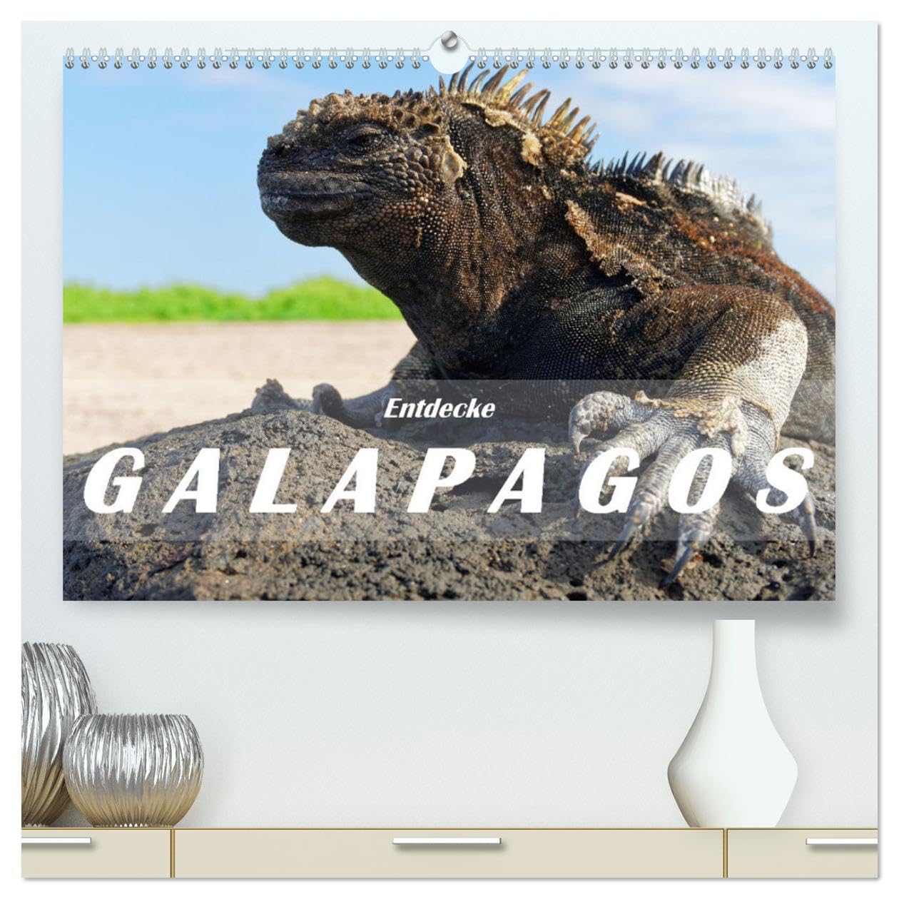 Entdecke Galapagos (hochwertiger Premium Wandkalender 2025 DIN A2 quer), Kunstdruck in Hochglanz: Die Einzigartigkeit von Galapagos besteht in der ... eine eindrückliche Tierwelt. (CALVENDO Orte) Leisure, Home & Garden
