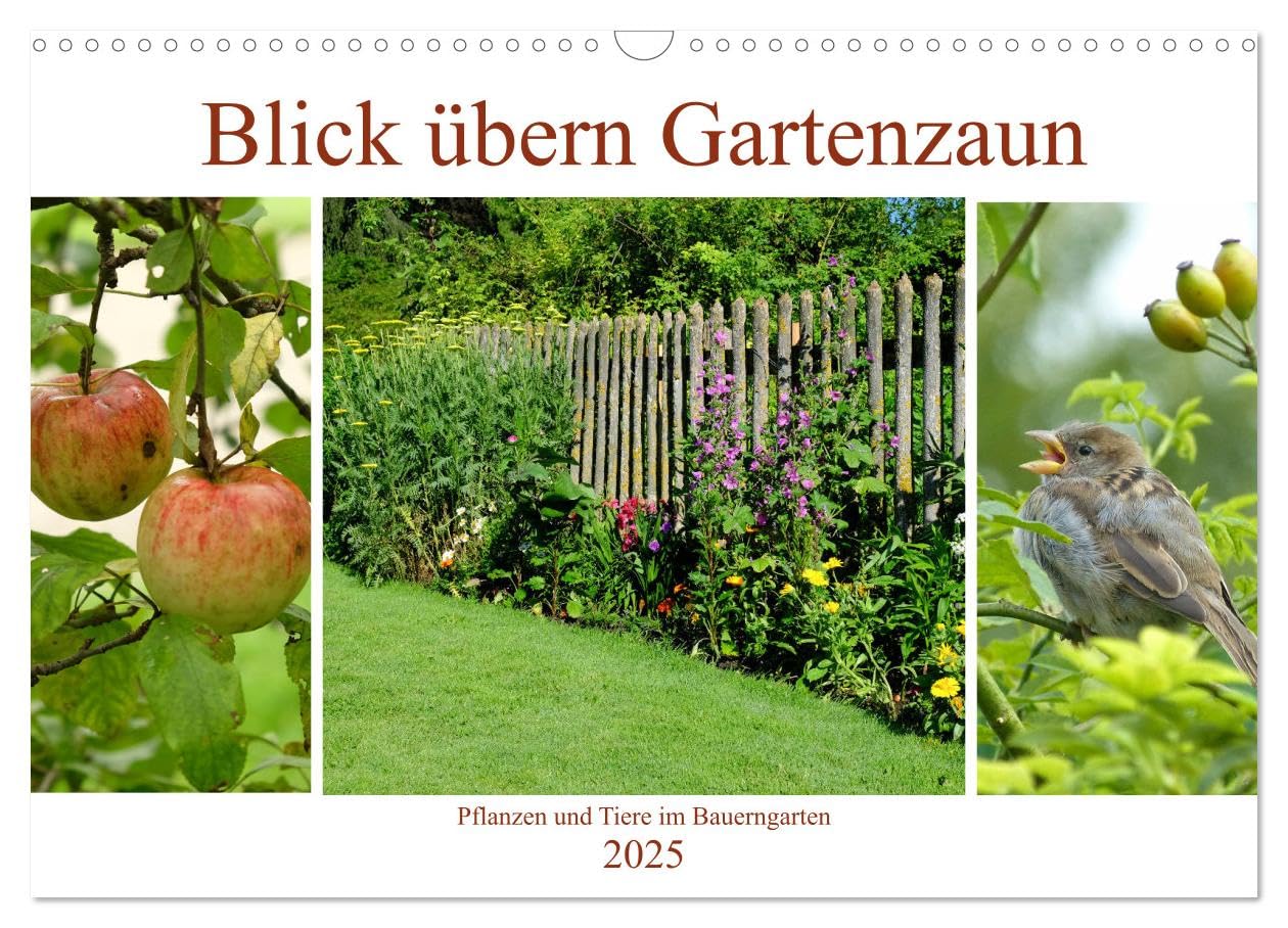 Blick übern Gartenzaun (Wandkalender 2025 DIN A3 quer), CALVENDO Monatskalender: Pflanzen und Tiere im Bauerngarten (CALVENDO Natur) Leisure, Home & Garden