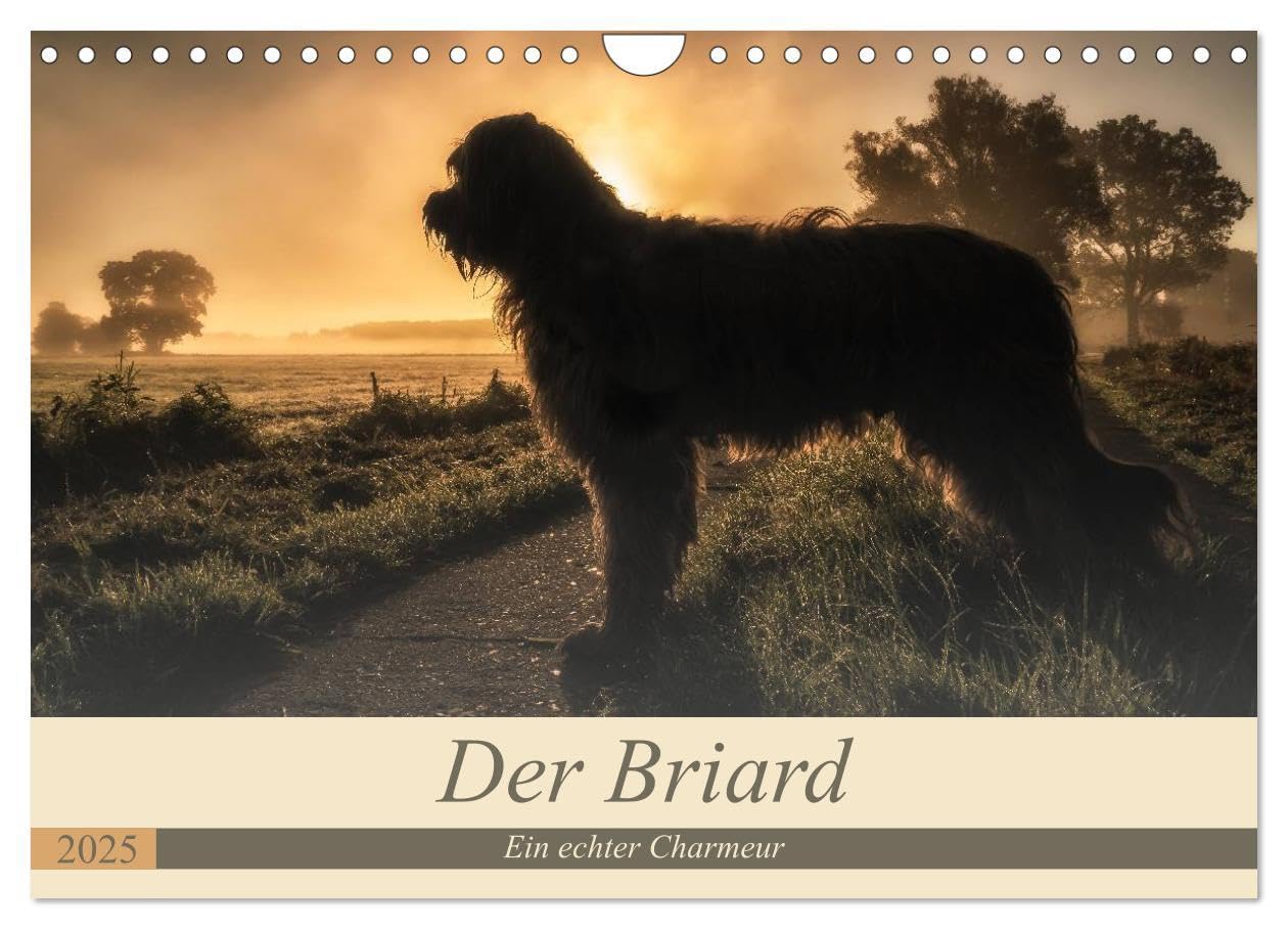 Der Briard 2025 - Ein echter Charmeur (Wandkalender 2025 DIN A4 quer), CALVENDO Monatskalender: 12 ausgewählte Fotografien des Herzensbrechers lassen ... Sie durch Ihr Jahr. (CALVENDO Tiere) Natural Sciences