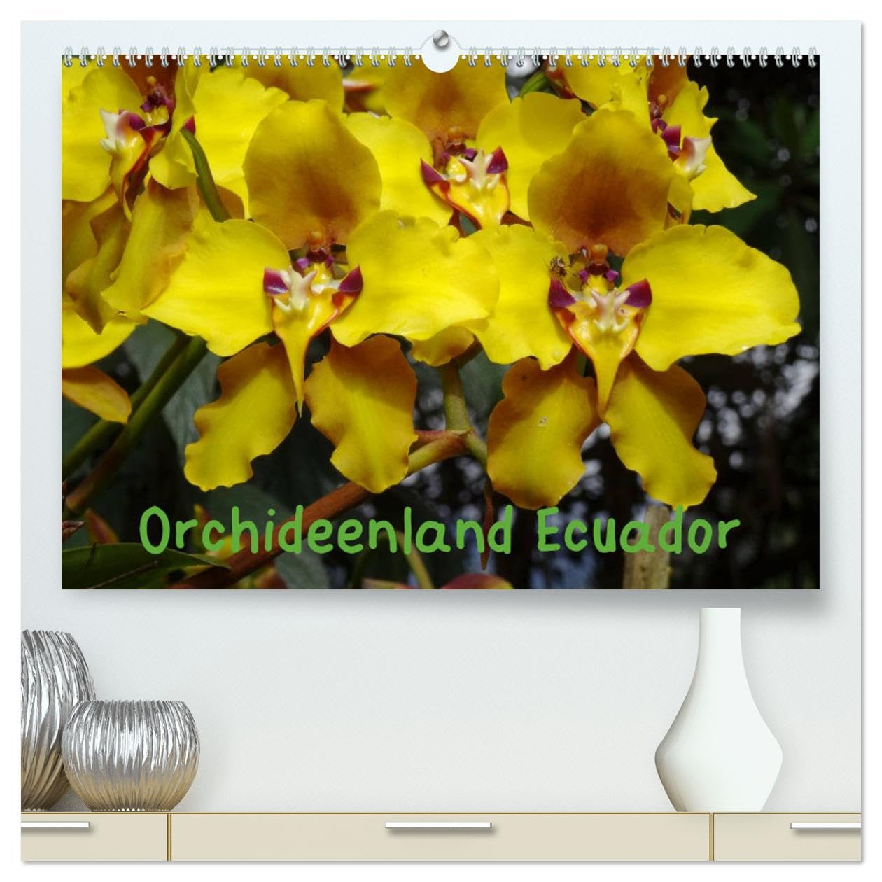 Orchideenland Ecuador (hochwertiger Premium Wandkalender 2025 DIN A2 quer), Kunstdruck in Hochglanz: Orchideen am Naturstandort in Ecuador (CALVENDO Natur) Leisure, Home & Garden