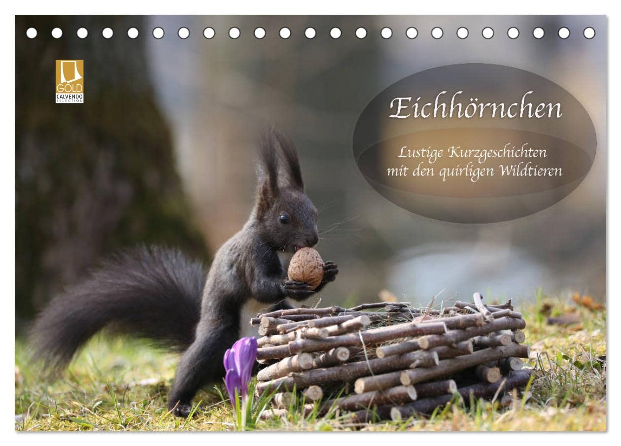 Eichhörnchen - Lustige Kurzgeschichten mit den quirligen Wildtieren (Tischkalender 2025 DIN A5 quer), CALVENDO Monatskalender: Eichhörnchen mit kleinen, lustigen Kurzgeschichten (CALVENDO Tiere) Natural Sciences