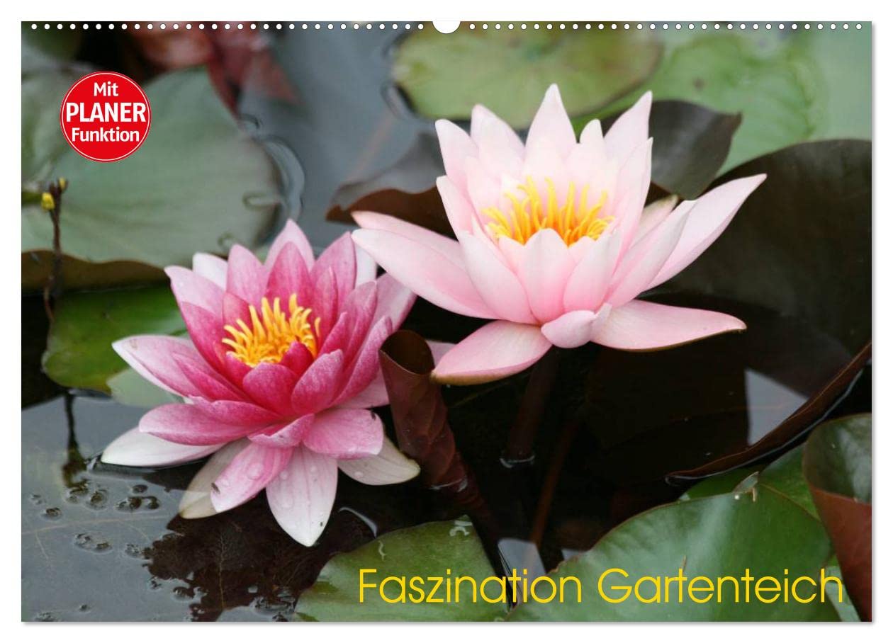 Faszination Gartenteich (Wandkalender 2025 DIN A2 quer), CALVENDO Monatskalender: Paradies für Pflanzen und Tiere (CALVENDO Natur) Business & Technology