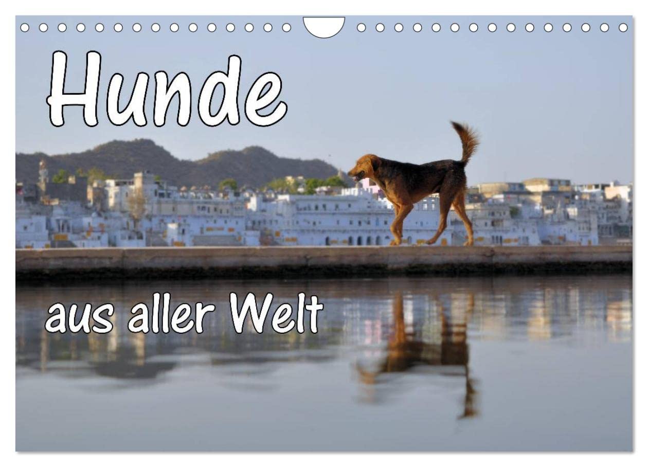 Hunde aus aller Welt (Wandkalender 2025 DIN A4 quer), CALVENDO Monatskalender: Hunde aus aller Welt vor markanten Hintergründen (CALVENDO Orte) Natural Sciences