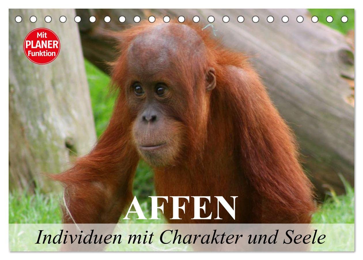 Affen - Individuen mit Charakter und Seele (Tischkalender 2025 DIN A5 quer), CALVENDO Monatskalender: Die faszinierend schöne Welt der Affen (CALVENDO Tiere) Film, Art & Culture