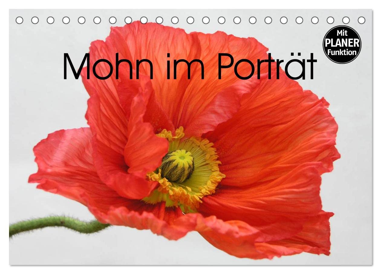 Mohn im Porträt (Tischkalender 2025 DIN A5 quer), CALVENDO Monatskalender: 1 Jahr lang Mohnblüten-Genuss (CALVENDO Natur) Social Sciences