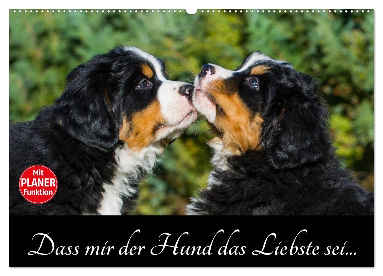 Dass mir der Hund das Liebste sei... (Wandkalender 2025 DIN A2 quer), CALVENDO Monatskalender Natural Sciences