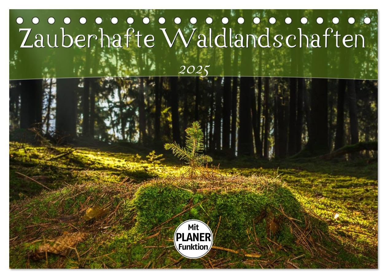 Zauberhafte Waldlandschaften (Tischkalender 2025 DIN A5 quer), CALVENDO Monatskalender: Traumhafte Landschaftsaufnahmen aus deutschen Wäldern (CALVENDO Natur) Photography