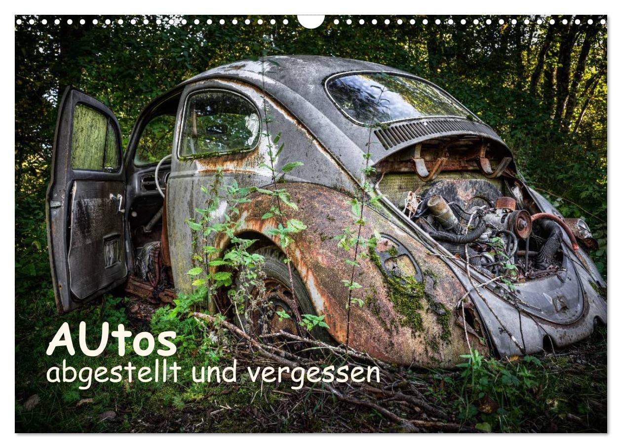 Autos, abgestellt und vergessen (Wandkalender 2025 DIN A3 quer), CALVENDO Monatskalender: Autos irgendwo im Niemandsland abgestellt und vergessen. (CALVENDO Mobilitaet) Photography